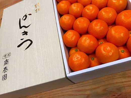 年内発送 完熟早生 有田みかん 化粧箱 特秀 S サイズ 45玉入 和歌山 南泰園 みかん BS636