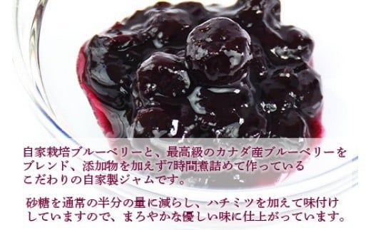 ＜ソフトクリーム屋さんの自家製ブルーベリージャム250g×4＞2か月以内に順次出荷【c491_sn_x2】 ジャム ブルーベリー 4個