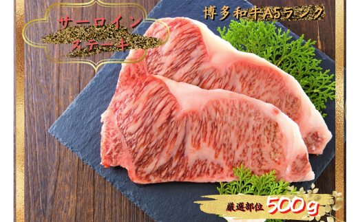 【溢れる肉汁と濃厚な旨味】博多和牛 サーロイン ステーキ セット 500g(250g×2枚)《築上町》【株式会社MEAT PLUS】 [ABBP013]