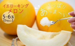 【2026年発送】完熟！イエローキングメロン 5kg以上(5玉～6玉)　H141-017