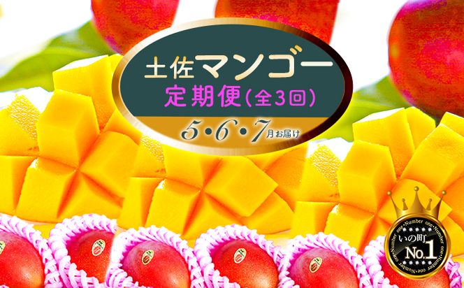 ym̒zy}S[ցy300ZbgzS3