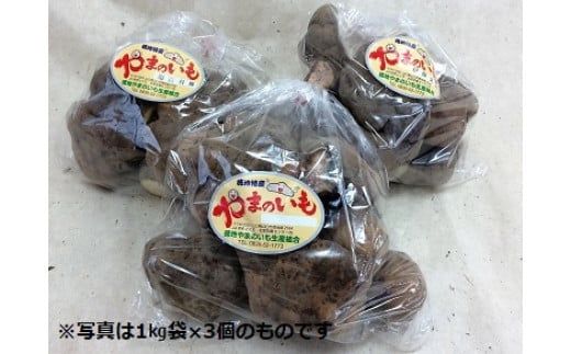 D213 徳地やまのいも1㎏袋(ご家庭用)×2袋