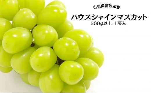 【2026年発送★先行予約】葡萄の一大産地！笛吹市産ハウスシャインマスカット500g以上 167-008-26y