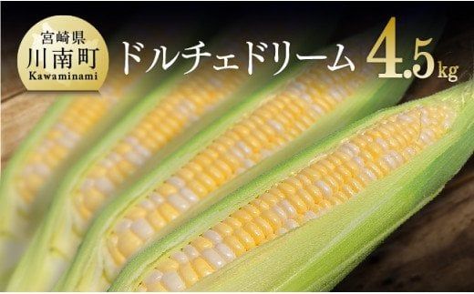 【 令和6年発送 】 宮崎県産 とうもろこし 大山さんちの スイートコーン ( ドルチェドリーム ) 4.5kg 【 先行予約 数量限定 期間限定 2024年発送 先行受付 宮崎県産 九州産 】 [E7101]