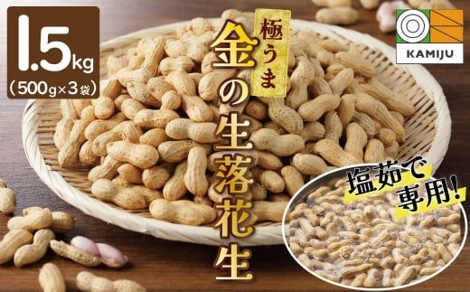 2024年発送】事前予約 やみつき極うま “金の生落花生” 1.5kg(500g×3袋