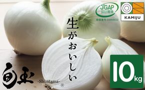 新玉ねぎ　生がおいしい　神重農産のブランド玉ねぎ「旬玉」10㎏ ブランド玉ねぎ 玉ねぎ 国産 愛知県産 野菜 やさい 農家直送 畑直送 旬 期間限定 たまねぎ 先行予約 旬 特産 高評価 高リピート 人気　H105-149