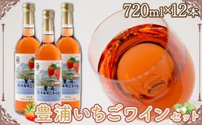 北海道 豊浦 いちご ワインセット【12本】