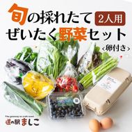 AA001 旬の採れたてぜいたく野菜セット（卵付き）2人用　野菜 やさい セット 旬 採れたて 卵 2人用 2人前 贅沢 ぜいたく 10個入り1パック