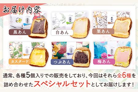 あんちんのもちもちつりがね饅頭 スペシャルセット 全6種×5個 計30個 有限会社あんちん 《30日以内に出荷予定(土日祝除く)》 和歌山県 日高川町 まんじゅう 饅頭 和菓子 スイーツ---wshg_antug_30d_22_14000_30c---