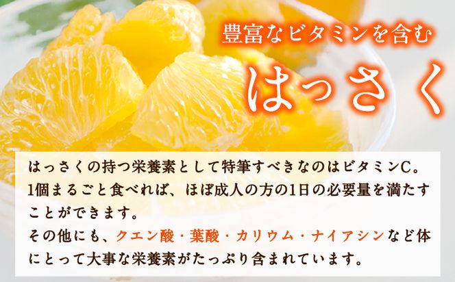 はっさく 八朔 和歌山産手剥き八朔缶詰 450g×8缶入 日高町厳選館《30日以内に発送予定(土日祝除く)》和歌山県 日高町 贈り物 ギフト 柑橘類---wsh_genthkk_90d_22_18000_8p---