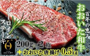 おおいた和牛サーロイン200g×2+鶏唐揚げ0.5kg_1088R