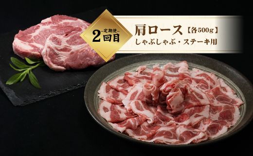 DM026 ＜定期便＞3回プラン 幻の銘柄豚 富士湧水ポーク 4か月毎に美味しいお肉が届く！ 食べつくしセット