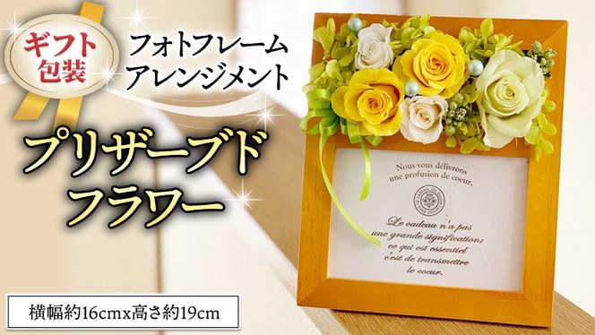 y錧}szMtgtHgt[AWgvU[uht[ [CT035ci]