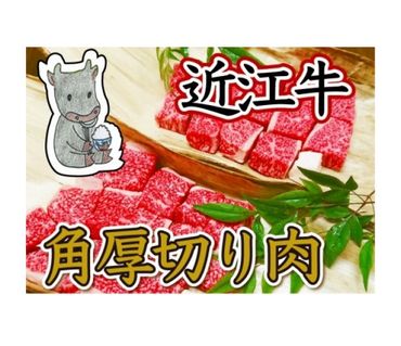 【4等級以上】黒毛和牛 近江牛 【並】 角厚切り肉 ご家庭用 【1000g （500ｇ×2パック）】【BM13SM】