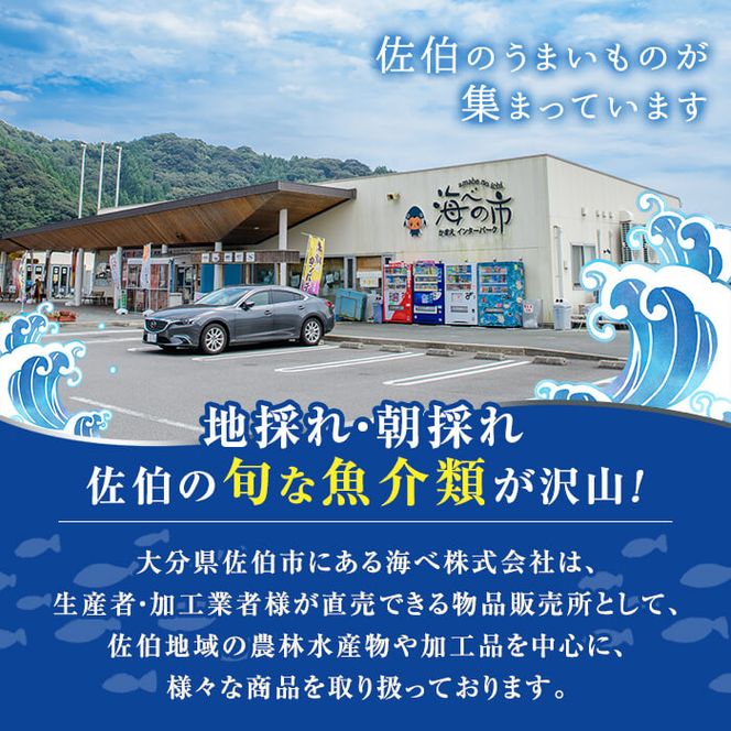 陣笠にな(約2kg) 魚介 貝 にな ニナ 酒蒸し 網焼き バター焼き バーベキュー 獲れたて 冷蔵 海の直売所 大分県 佐伯市【AS84】【海べ (株)】