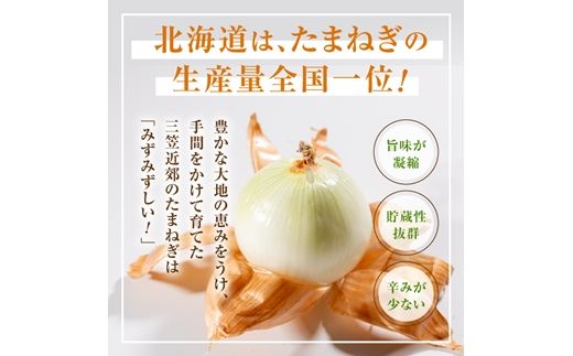三笠aroundたまねぎＬサイズ10kg《11月下旬頃より発送予定》【3300402】