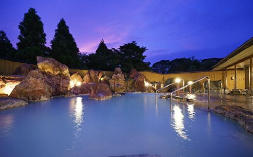 旅行 宿泊券 富山 「にっぽんの温泉100選」 金太郎温泉 峰の界和モダン和室ベッドタイプ 1泊2食 ペア｜宿泊 ホテル 観光 金券 北陸 温泉 富山県 ※北海道・沖縄・離島への配送不可