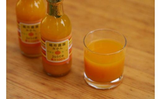 【和歌山有田】「嶋市農園」果汁100％みかんジュース200ml10本入り