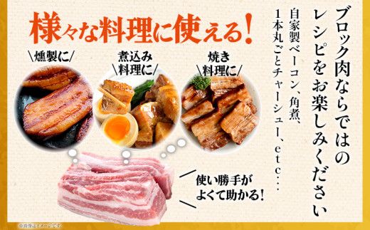 ふくよか豚バラブロック約5kg 豚バラブロック 豚バラブロック肉 豚肉 ブタ肉 豚 豚バラ ブロック肉 塊肉 自家製ベーコン チャーシュー しゃぶしゃぶ 角煮 燻製 煮込み料理 ふくよか豚 焼き鳥 サムギョプサル 冷蔵