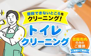 トイレクリーニング ベンリー笠岡 《90日以内に出荷予定(土日祝除く)》 掃除 クリーニング 代行 トイレ お手洗い 便器 岡山県 笠岡市---Ｂ-15---