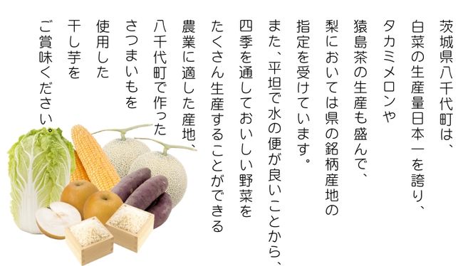 茨城 八千代町産 国産 紅はるか 干し芋 平干し 100g × 4 袋 ( 400g ) ポテト ラボ 特製 ほしいも 干しいも さつまいも お菓子 和菓子 [BW027ya]