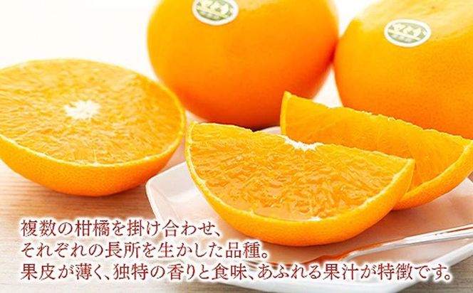 化粧箱 柑橘の大トロ ハウス せとか 厳選 大玉 6玉入   BS102