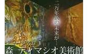 太陽の森ディマシオ美術館　入館招待券(往復ハイヤー付)