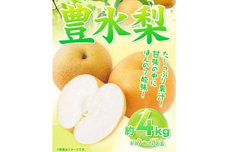 【先行予約】【令和7年発送分】和歌山県紀の川市産 の豊水梨 約4kg （約9玉～13玉）紀の川市厳選館 《2023年8月中旬-9月上旬頃出荷》 和歌山県 紀の川市 果物 フルーツ なし ナシ---wsk_gsk52_8c9j_24_19000_4kg---