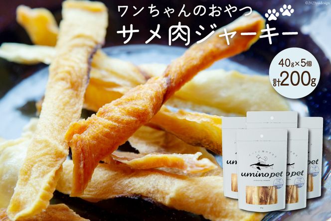 y{錧CszUMINO PET TW[L[ 40g×5 [ΓnX {錧 Cs 20563954] ybgt[h hbOt[h   p ybg  Ic Y W[L[ CY T L