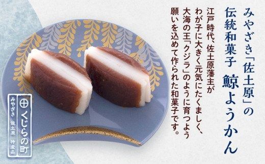 みやざき「佐土原」の伝統和菓子 鯨ようかん 冷凍品_M245-003