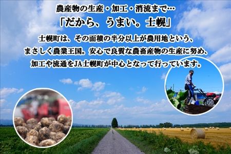 北海道 コーン 冷凍食品 1kg×2袋 セット 計2kg カーネルコーン 冷凍野菜 国産 トウモロコシ とうもろこし ホールコーン 冷凍 おかず お弁当 詰合せ お取り寄せ 送料無料 十勝 士幌町【N46】