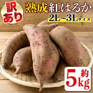 isa425 《訳あり・予約受付中！2026年1月より順次発送予定》熟成紅はるか(約5kg・2L～3Lサイズ混合) 訳あり さつまいも 紅はるか 鹿児島 生芋 完熟 長期熟成 土付き べにはるか サツマイモ 焼き芋に 【いさ工房】