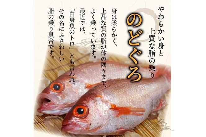 のどくろ、笹カレイ入り　一夜干し詰め合わせ　ゴールド　UO00149