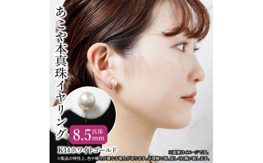 R14113】あこや本真珠イヤリング 真珠8.5mm 14Kホワイトゴールド（大分