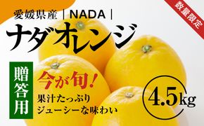 【先行予約】【農家直送】愛媛県産 ナダオレンジ 贈答用 4.5kg ｜ 柑橘 蜜柑 みかん ミカン 果物 フルーツ 河内晩柑 ※2025年5月中旬より順次発送予定