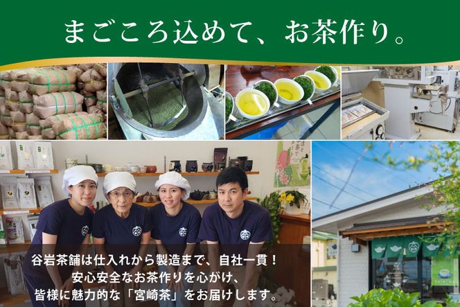 お茶 茶葉 プラチナ賞受賞茶 3本セット 晟 70g×1本 深緑 100g×1本 朝霧しずく 70g×1本 [谷岩茶舗 宮崎県 日向市 452061600] セット 煎茶 釜炒り茶 緑茶 釜王 新緑 朝露しずく 晟