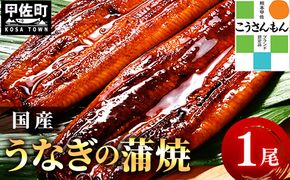 【甲佐ブランド】 うなぎ 蒲焼き 1尾 【こうさんもん認定商品】熊本産 国産 150ｇ以上