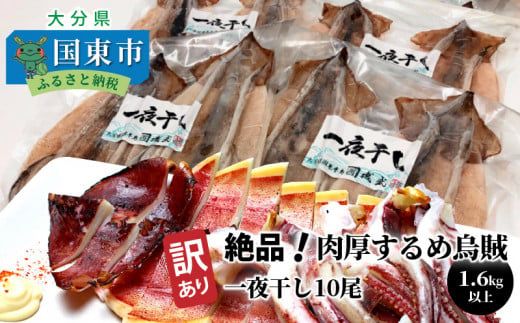 [訳あり]絶品!肉厚するめ烏賊一夜干したっぷり10尾(1.6kg以上) _1836R