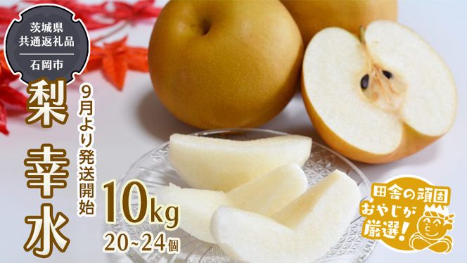 梨 幸水 10kg（20～24個 ）【9月より発送開始】（茨城県共通返礼品：石岡市産）田舎の頑固おやじが厳選！ 梨 幸水 高糖度 ギフト 甘い フルーツ 美味しい デザート [BI303-NT]
