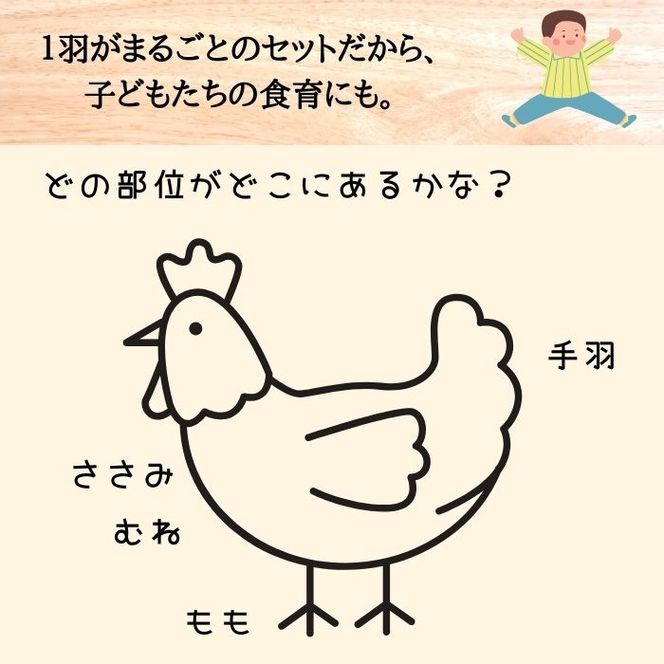 ＜京都亀岡丹波山本＞手捌き熟成 地鶏 丹波黒どり１羽まるごとセット【訳あり・緊急支援品】≪特別返礼品 鶏肉 丸１羽 とり肉≫■