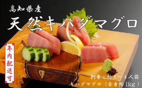 【年内配送】お刺身 や 漬け丼 に！ 天然まぐろ キハダマグロ 赤身 約1kg 5～6人前 海鮮 魚 魚介 まぐろ マグロ 鮪 刺し身 さしみ 切り身 切身 天然 グルメ ごちそう おかず お取り寄せ 高知県 四万十市 四万十 しまんと 25-1000N