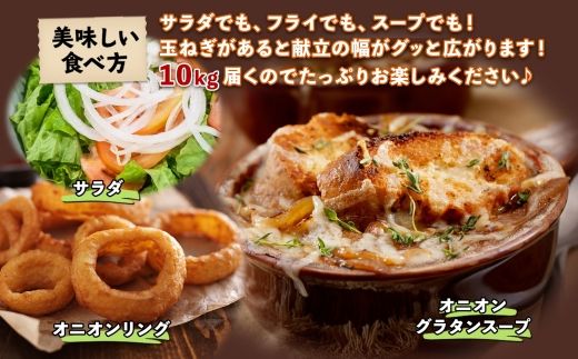 《期間限定》北海道 士幌産 たまねぎ 玉ねぎ タマネギ 玉ネギ 玉葱 10kg (2025年12月～発送開始予定)  採れたて オニオン 旬の野菜 期間限定 新鮮 野菜 産地直送 産直 お取り寄せ 送料無料 十勝 士幌町 9000円 【V07】