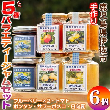 isa476 《数量限定》5種のバラエティージャム食べ比べセット(計6個・ブルーベリー×2、トマト、ボンタン、サワーポメロ、日向夏)【薩摩美食倶楽部】