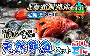 【定期便 3ケ月連続】 お魚の目利きのプロにお任せ！北海道産（国産） 天然 鮮魚 約500g～1kg（釧路の鮮魚セット）　121-1262-142-002