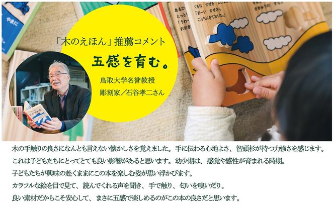 1313 木のえほん1〜5巻セット(木箱付き)