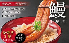 R5-366．＜四万十食品＞うなぎ蒲焼　長焼2尾／ＢＣ