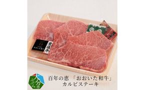 【A01062】百年の恵 「おおいた和牛」 カルビステーキ約400g