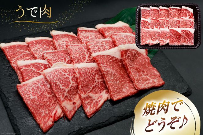 肉 牛肉 宮崎牛 牛うで肉 焼肉用 400g [牛心フードサービス 宮崎県 美郷町 31bm0019] 冷凍 焼肉 ブランド牛 ウデ ウデ肉 うで うで肉 ブランド牛