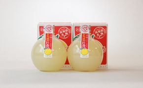 高知酒造　うき玉文旦のお酒（２本セット）