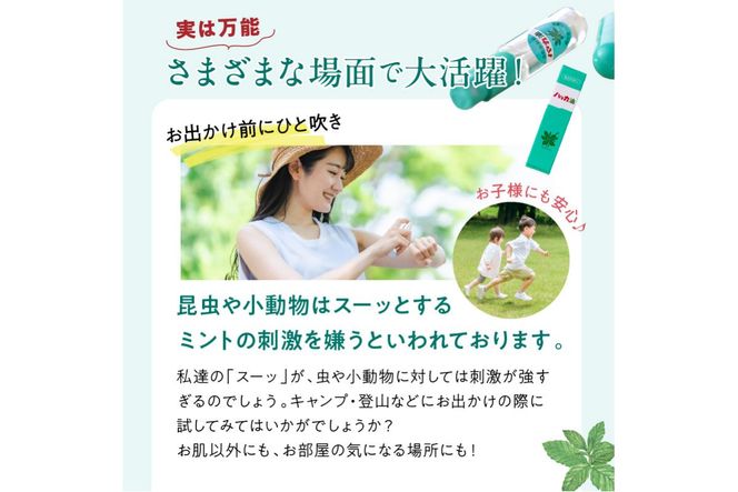 ハッカ油 ボトル 100mlとハッカ油 スプレー セット ( はっか 薄荷 ミント 爽快感 爽快 )【007-0027】